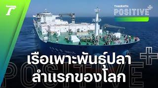 ส่องความล้ำ “เรือเลี้ยงปลาอัจฉริยะ” ระวางแสนตัน ลำแรกของโลก เพาะพันธุ์ได้ปีละ 3 ล้านตัว  Positive+