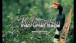 Instrument Sape Kalimantan - Menyentuh Hati - Sape - Sampe - Sampek - Merdu