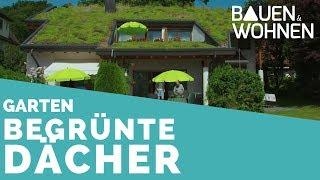 Haus und Garten Begrünte Dächer - Grün statt Dachziegel