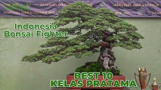 BEST 10 KELAS PRATAMA PAMNAS BONSAI JEPARA 2022 INDONESIA BONSAI FIGHTER