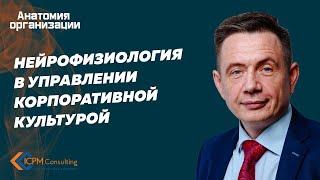 Нейрофизиология в управлении корпоративной культурой