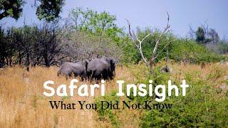 SAFARI INSIGHT  How To Calculate Elephants Shoulder Height