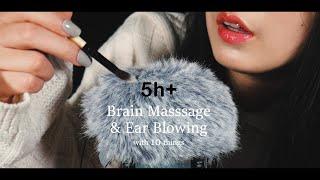 ASMR Brain Massage & Ear Blowing with 10 things 5Hr+  Fluffy Mic Touching & Scratching No Talking