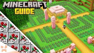 The BEST Starter Food Farm - Minecraft 1.20 Guide Survival Lets Play #4