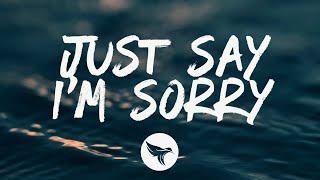 Pnk & Chris Stapleton - Just Say Im Sorry Lyrics