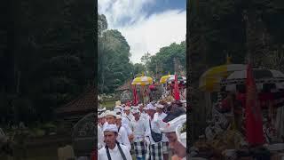 Umanis galungan 2023 #puakan #barong #bali