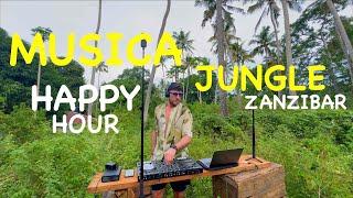 MUSICA HAPPY HOUR JUNGLE MIX – Coldplay  AVICII Lenny Kravits  James Blunt Zerb Hugel OFENBACH