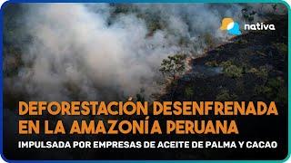  INFORME EIA Deforestación desenfrenada en la AMAZONÍA PERUANA