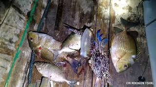 Menyuluh  dan berburu ikan di pulau tanjung malam hari di tubiran karang Hunting on the Coral