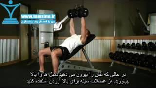 آموزش حرکت پرس بالا سینه دمبل روی نیمکت شیب دار Incline Dumbbell Press