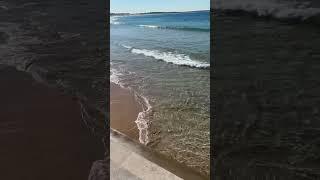 The Clearest Water at Cronulla Beach