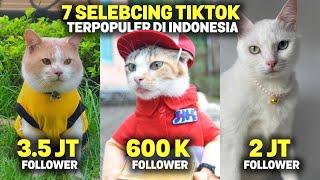 TAJIR MELINTIR.. Inilah 7 Kucing Terkaya & Terpopuler di Tiktok Indonesia Sepanjang 2022