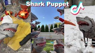 Best Shark Puppet TikTok Videos 2023  Funny @SharkPuppet   TikToks Compilation