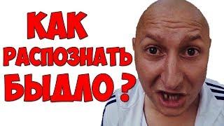 Как распознать Быдло?  Кто такие Быдло.