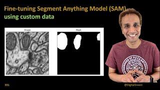 331 - Fine-tune Segment Anything Model SAM using custom data