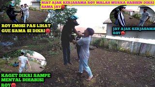 GREGET NIAT AJAK ROY BANTAI ALIF MALAH HABISIN DIKRI DAN JAY SAMPE AMPUN‼️