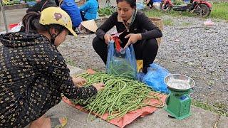 A tiring but happy day at work. Picking long beans to sell at the market.