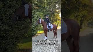 Ups ​​ #equestrian #horses #thrill