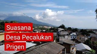 Suasana Desa Pecalukan