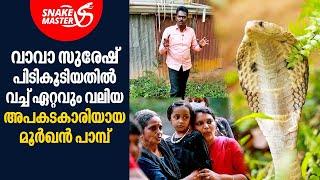 കൂടി നിന്നവർ വലിയ മൂർഖൻ പാമ്പ്‌ വരുന്നത് കണ്ട്‌ പേടിച്ചോടി  Vava Suresh  Snakemaster EP 822