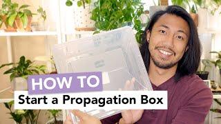 How to Start a Propagation Box  Easy & Effective Propagation Method