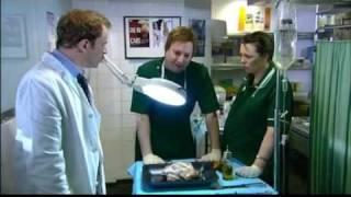 That Mitchell & Webb Look - Animal Clinic HQ