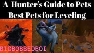 A Hunters Guide to Pets  Best Pets for Leveling  WoW Classic Tutorial