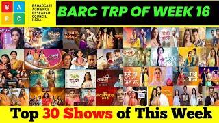 BARC TRP Report of Week 16 2024  Top 30 Shows of this Week