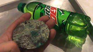 RECYCLING “plastic” pop bottles in the backyard polyethylene terephthalate pete pet petp