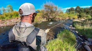 Solo Camping and Fly Fishing I Caught a 4lb Brown Trout