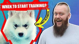 When Should I Start Training My SIBERIAN HUSKY PUPPY?