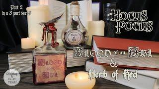 Blood of an Owl & Herb of Red  Life Potion Ingredients  DIY Prop Bottle  Hocus Pocus Potions