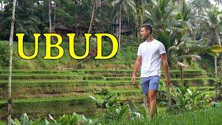 4 Days in UBUD BALI - Things to Do & First Impressions