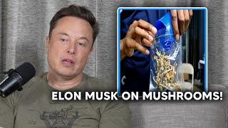 Elon Musk On Taking Mushrooms