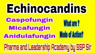 Echinocandins What are Echinocandins CaspofunginMicafunginAnidulafunginSSP Sir