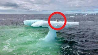 Fishermen Think They Found a Seal on a Floating Iceberg Until They Get Closer and Realize They are 