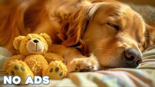 12 Hours Anti Anxiety Music for Dogs  Stress Relief Music For Dogs  Calming Music For Dogs