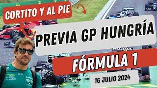 Previa Gran Premio de Hungria de Formula 1  Cortito y al Pie