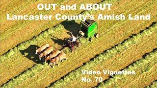 Traveling the BACK ROADS of Lancaster Countys AMISH LAND...OUT and ABOUT Video Vignettes No. 70