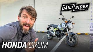 2022 Honda Grom Review  Daily Rider