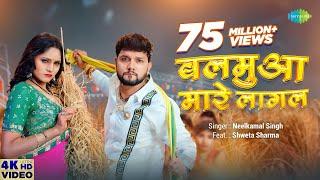 #Video  बलमुआ मारे लागल  #NeelKamal Singh  Balamua Maare Lagal  Shweta Sharma  #Bhojpuri Gana