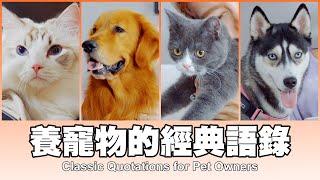 這群人 TGOP │養寵物的經典語錄 Classic Quotations for Pet Owners