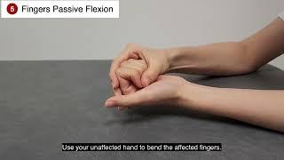 12. Wrist and Fingers Stretching Exercises