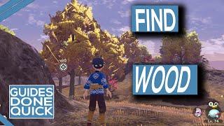 Where To Find Wood In Pokemon Arceus