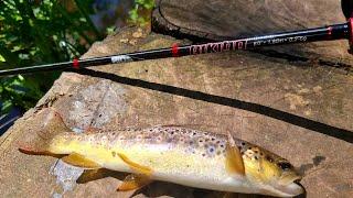 Ultralight Lure Fishing For Wild River Trout