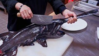 Most unique fish！Steamed fish Sashimi cutting skills 怪物魚降臨！ 鴨嘴鱘切割技巧 清蒸白鱘魚 刺身