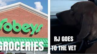 A Few Groceries and RJ has an EMERGENCY Trip to the Vet - 436