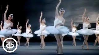 Чайковский Лебединое озеро 1983. Большой театр  Swan Lake. Tchaikovsky. Bolshoi Theatre