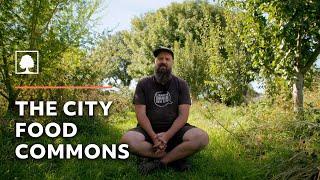 Public Park Transformed into an Urban Food Forest