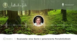 #Dualseele  Das Selbe Bewusstsein